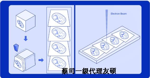 连云港蔡司连云港扫描电镜