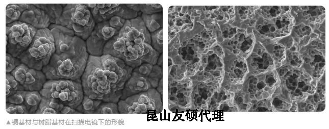 连云港蔡司连云港扫描电镜