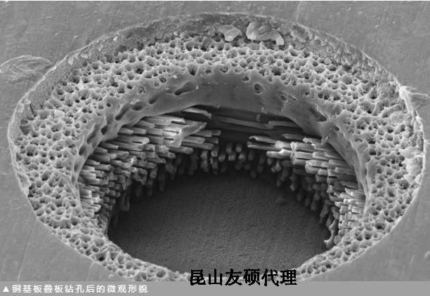 连云港蔡司连云港扫描电镜